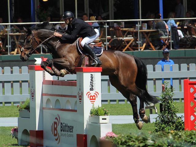 需要全方面 需要全方面